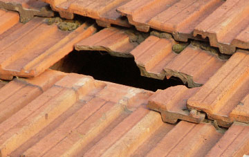 roof repair Storiths, North Yorkshire